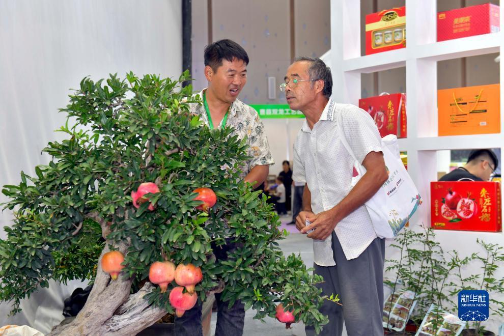 轻松盛棋牌